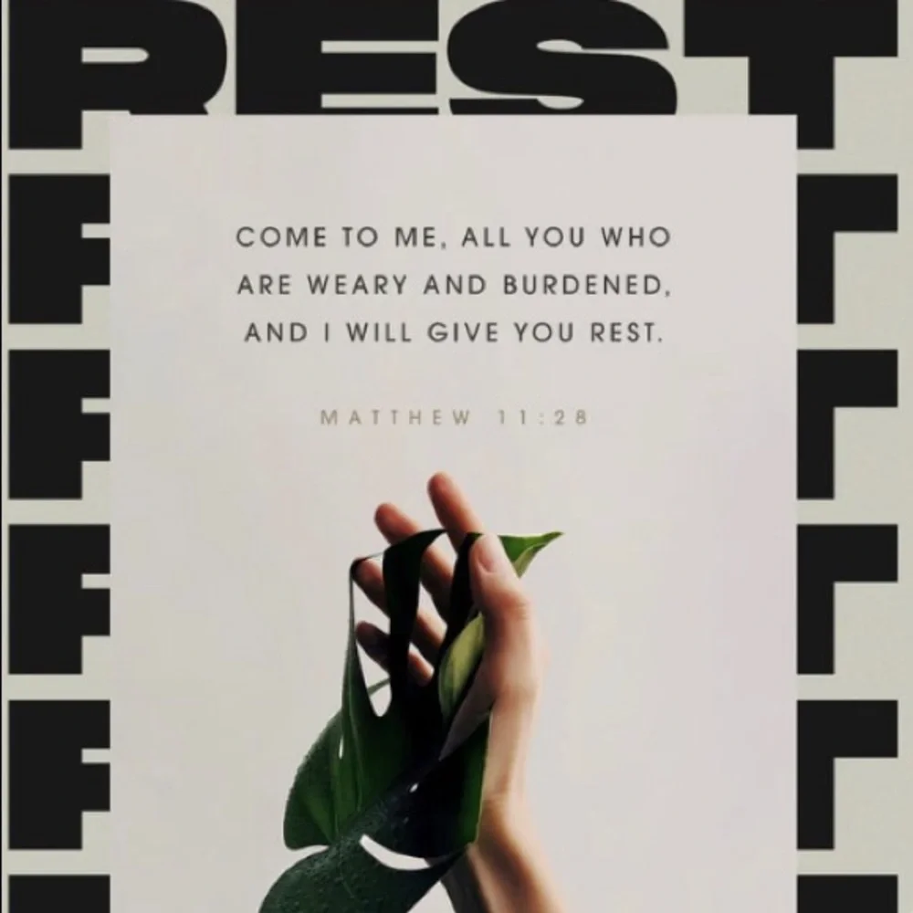 FOLLOW GAME - Picture 9 of 12